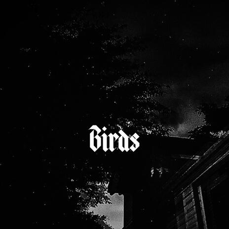 Birds cover art