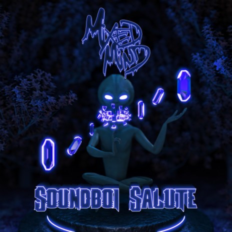 Soundboi Salute cover art