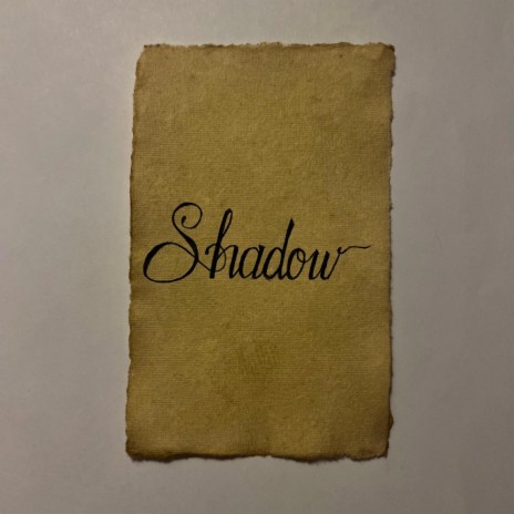 Shadow cover art