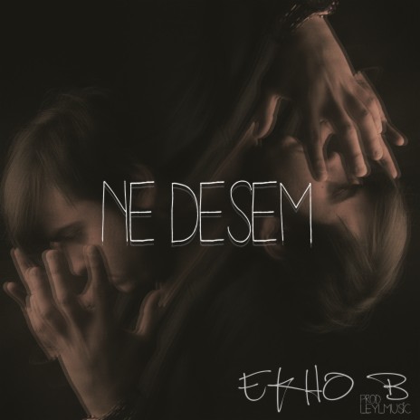Ne Desem