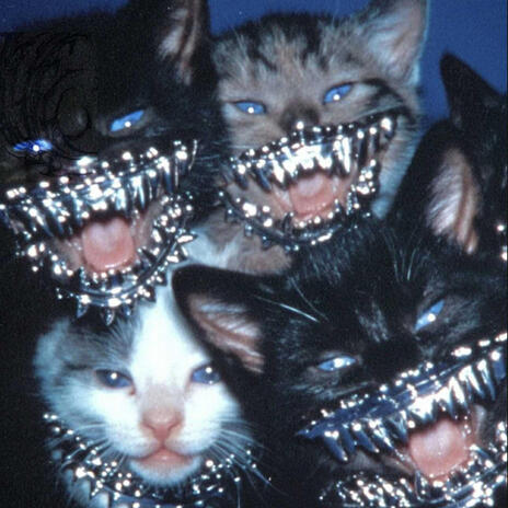 Singularity cover art
