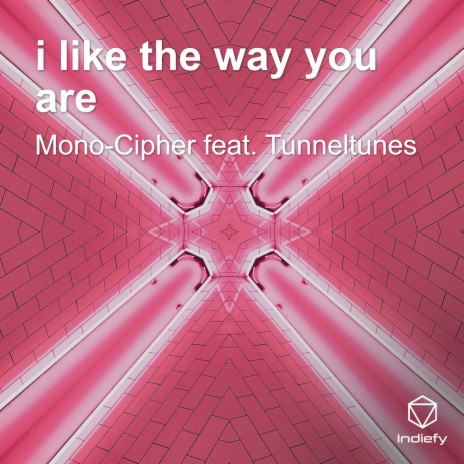 i like the way you are ft. Tunneltunes cover art