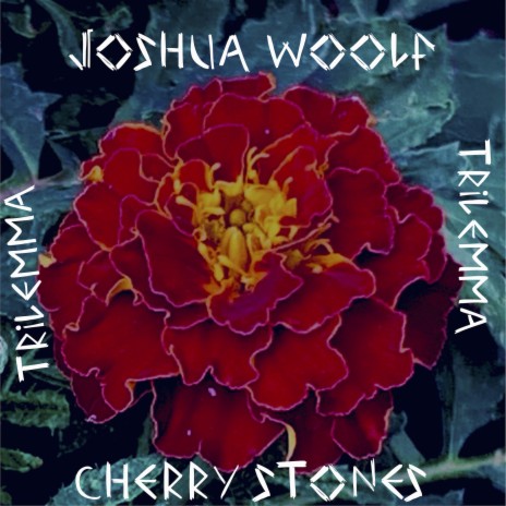 Cherry Stones cover art