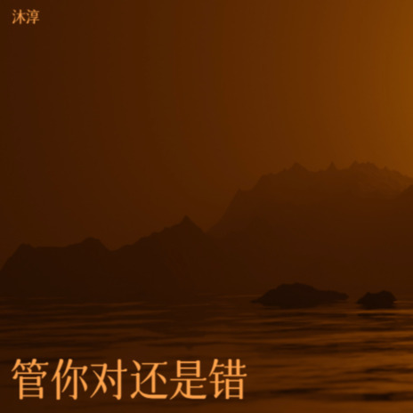管你对还是错 cover art