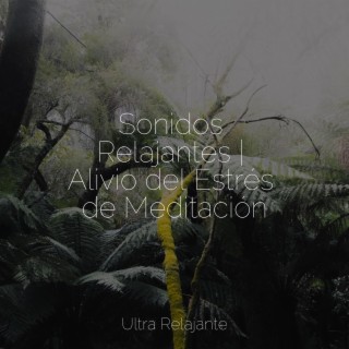 Música Para Dormir Inspirada En El Espacio