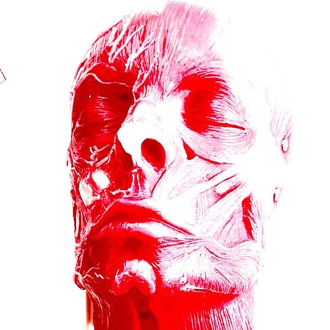 Transit cover art