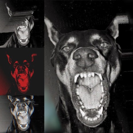underground cover art