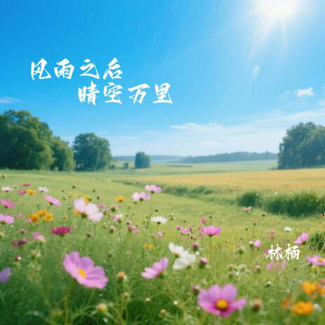 风雨之后 晴空万里 (伴奏版) cover art
