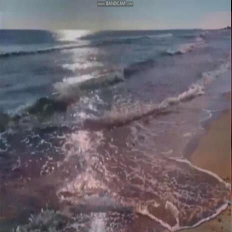 Seashore