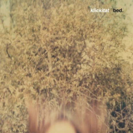 The Rule cover art