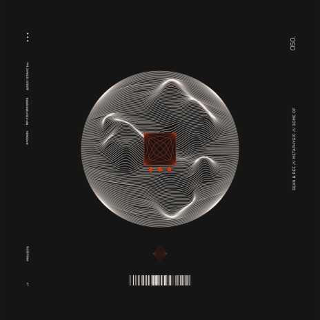 Metaphysic (Some Of Remix) cover art