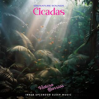 Om Nature Sounds Cicadas ft. Vidura Barrios