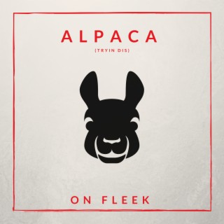 Alpaca (Tryin Dis) cover art