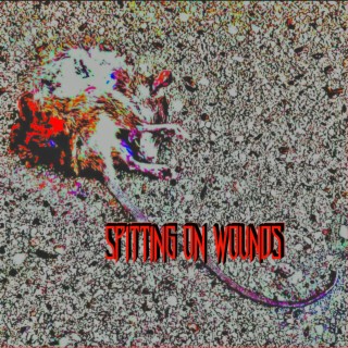 Creaking of the hardwood cover art