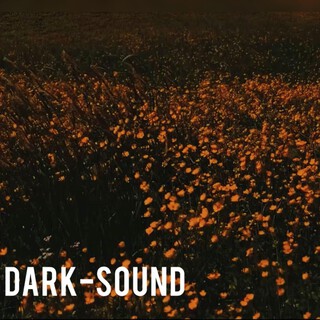 DARK-SOUND