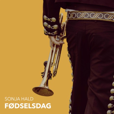 Fødselsdag cover art