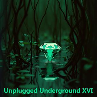 Unplugged Underground XVI