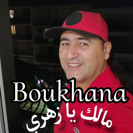 Malek Ya Zahri cover art