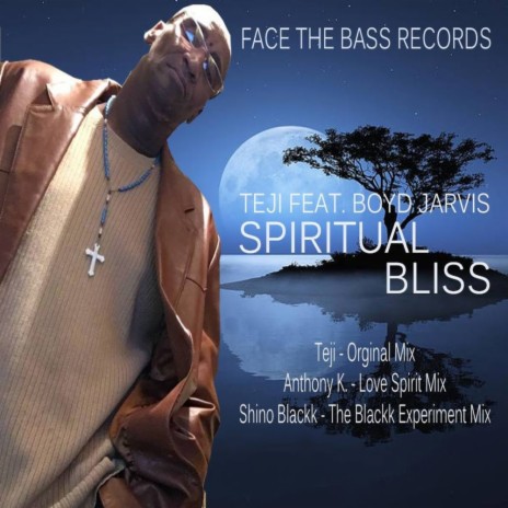 Spiritual Bliss (Original Mix) ft. Boyd Jarvis cover art