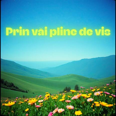 Prin văi pline de vis cover art