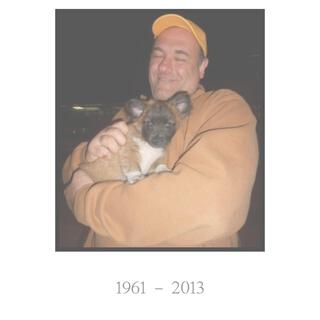 James Gandolfini