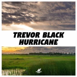 Hurricane cover art