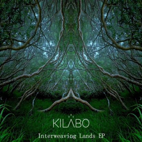 Interweaving Lands cover art