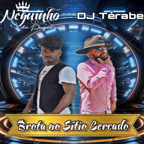 Brota no Sítio Cercado ft. Neguinho da paquera cover art