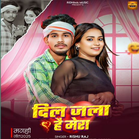 Dil Jala Hai Mera cover art