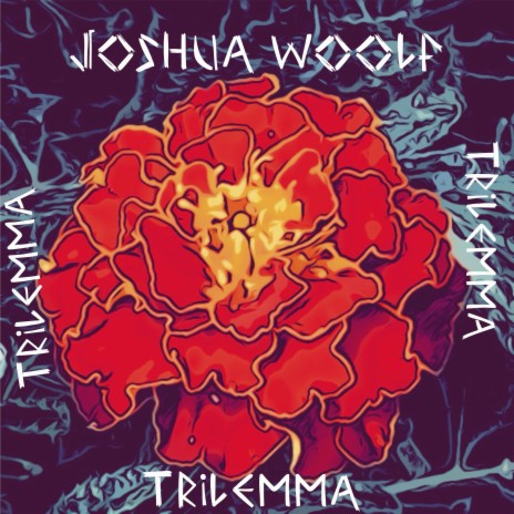 Diminish cover art
