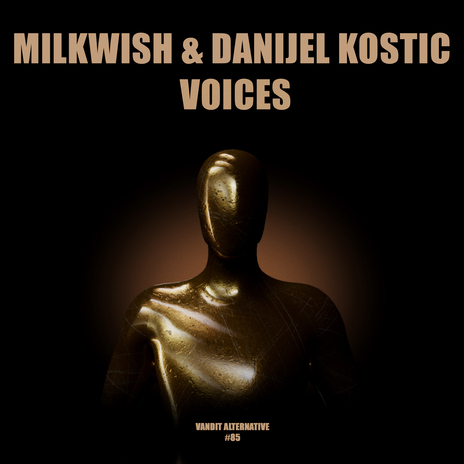Voices ft. Danijel Kostic cover art