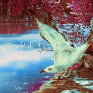 Expansion Of The Woods cover art