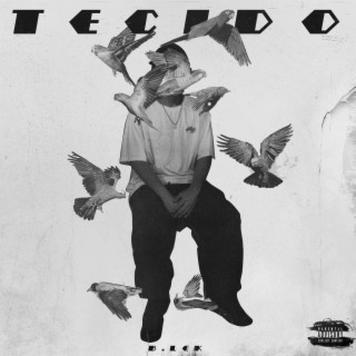 Tecido cover art