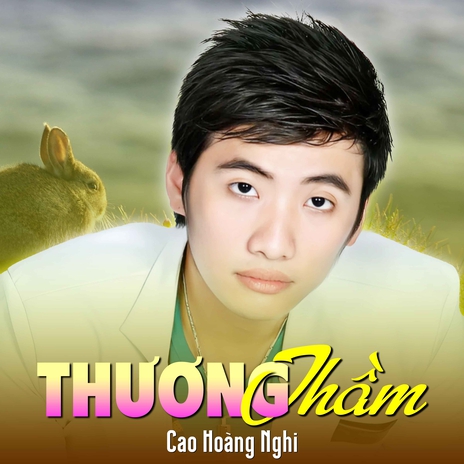 Thoáng Giấc Mơ Qua cover art