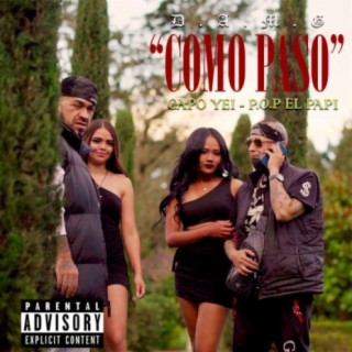 Como Paso ft. P.O.P el Papi & DJ Paulie Montana cover art