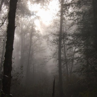 absent cover art