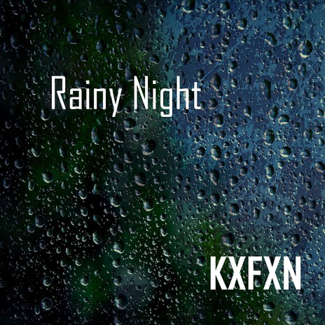 Rainy Night Lo Fi cover art