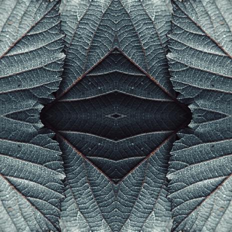 Call to the Unknown cover art