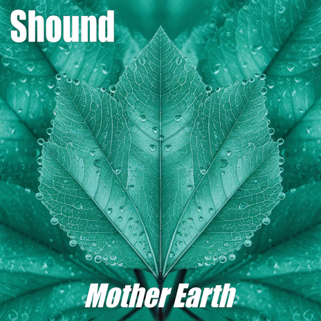 Forest of Peace cover art