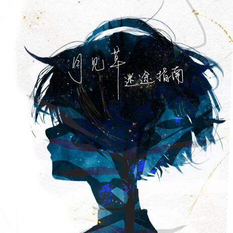 月见草