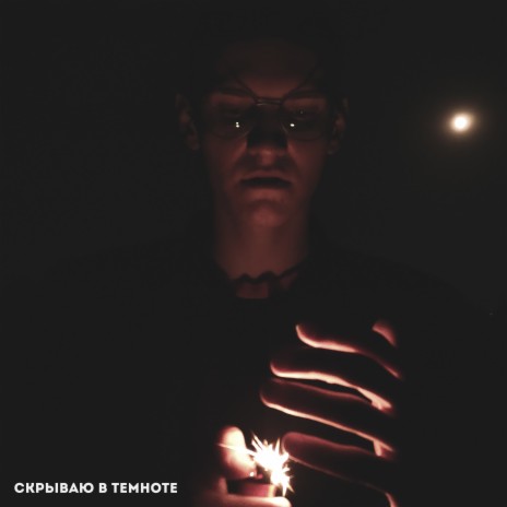 Скрываю в темноте cover art