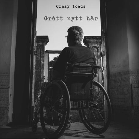 Grått nytt hår cover art