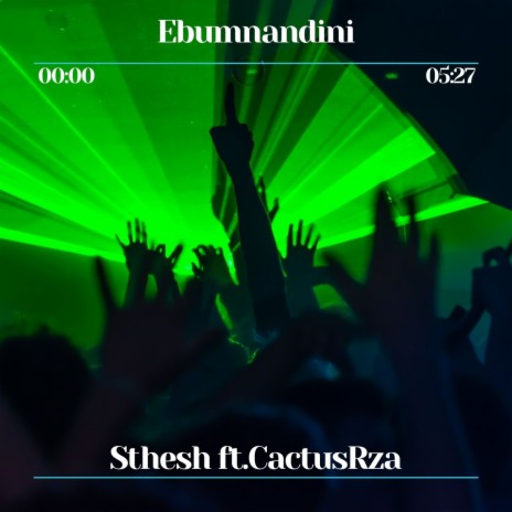 Ebumnandini ft. CactusZA