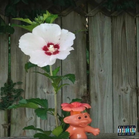 Elegance, Like Me cover art