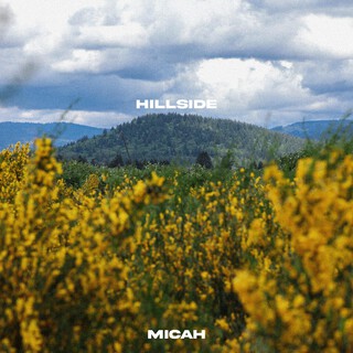 hillside cover art