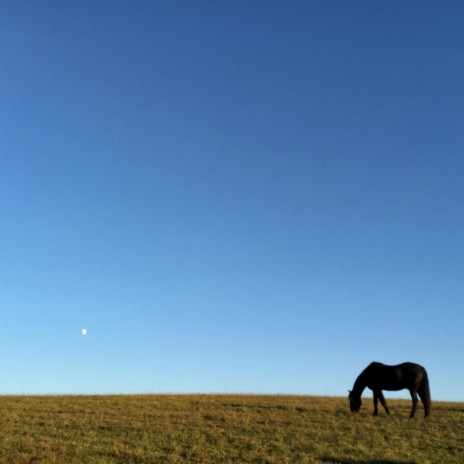 Breeze cover art
