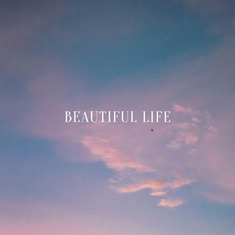 Beautiful Life cover art