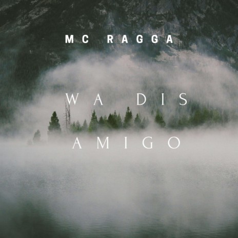 Wa Dis Amigo cover art