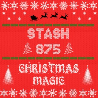 STASH 875