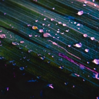 Dew cover art